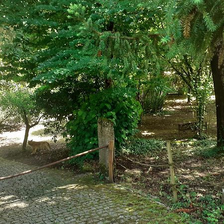Cabana Da Oliveira Marco de Canavezes المظهر الخارجي الصورة
