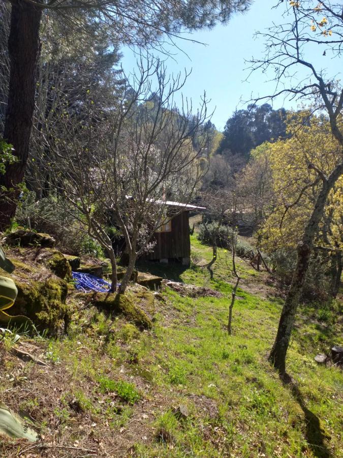 Cabana Da Oliveira Marco de Canavezes المظهر الخارجي الصورة