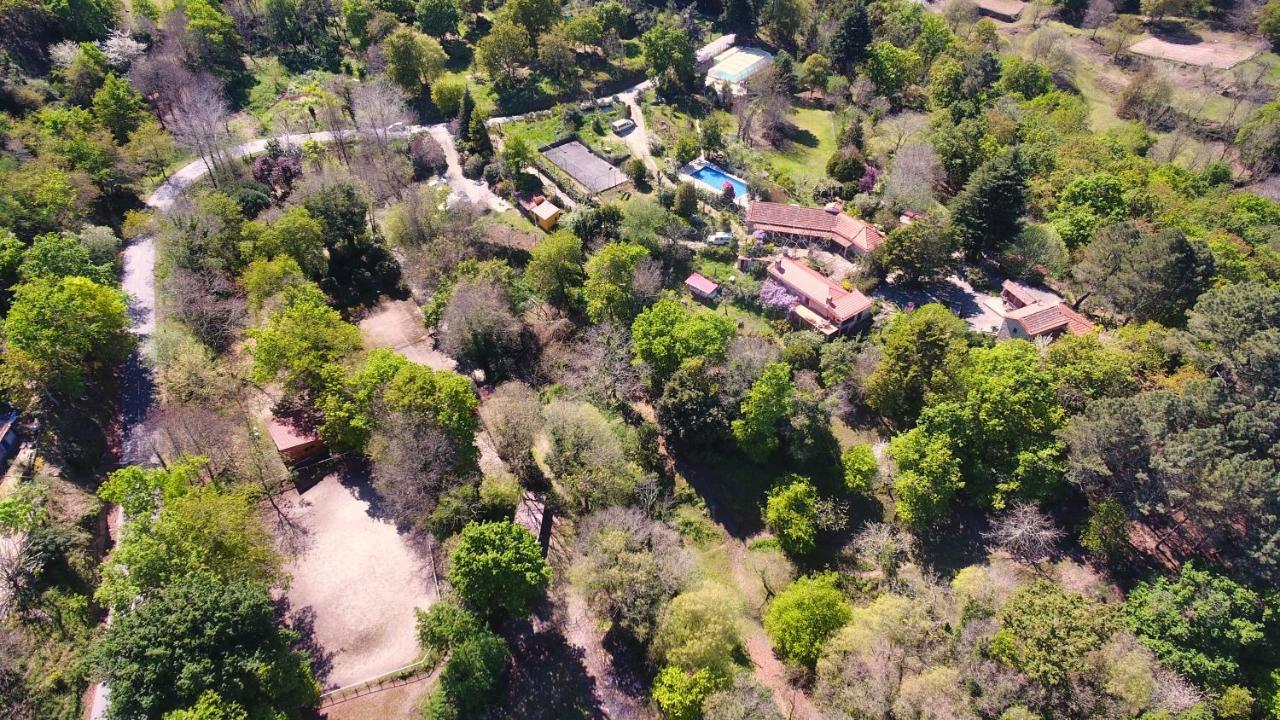 Cabana Da Oliveira Marco de Canavezes المظهر الخارجي الصورة