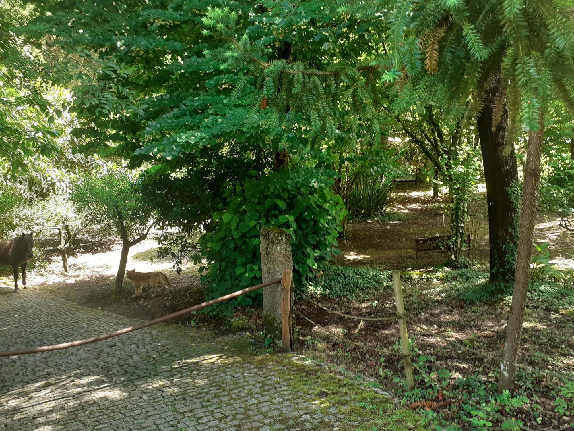 Cabana Da Oliveira Marco de Canavezes المظهر الخارجي الصورة